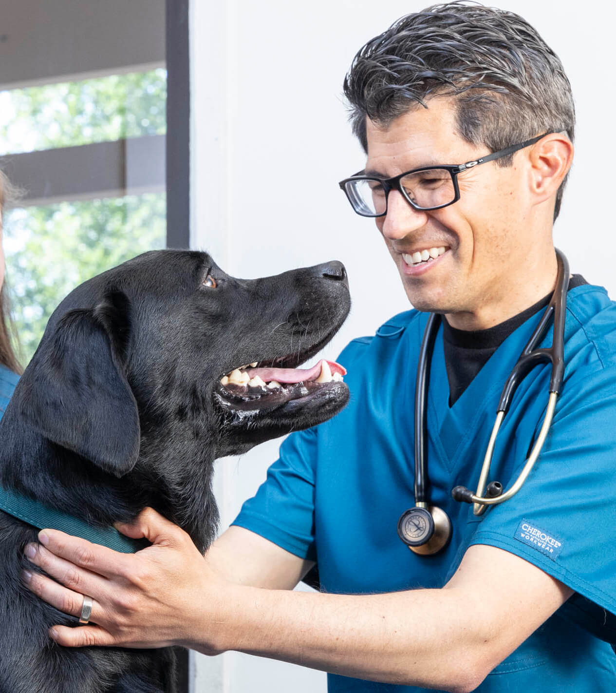 Male Vet With Black Lab