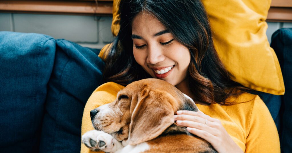 young woman cuddling her sleeping beagle dog on the couch at home