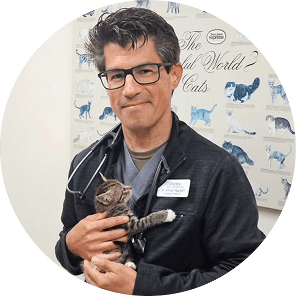 Dr Nguyen with kitten Headshot