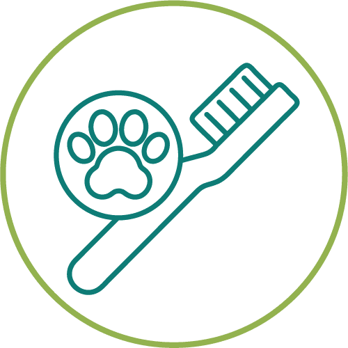dark green drawing of a tooth brush with a paw in a light green circle