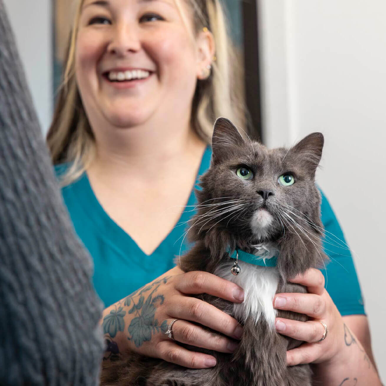 dark gray cat being examined by smiling female vet