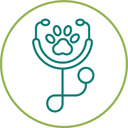 dark green drawing of a stethoscope in a light green circle