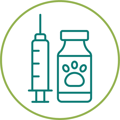 dark green drawing of medication in a light green circle